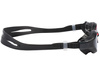 AQUA SPEED RAPTOR OKULARY PŁYWACKIE DO PŁYWANIA OKULARKI NA BASEN