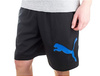 PUMA KRÓTKIE SPODENKI SPORTOWE DRY CELL 512725-01 MĘSKIE CZARNE